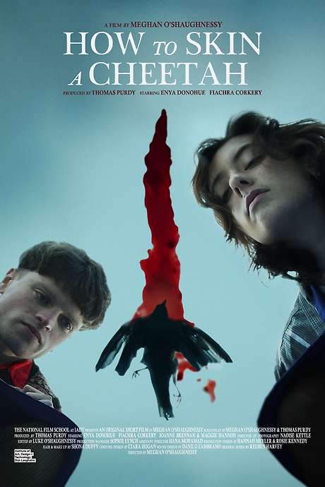 How to Skin a Cheetah